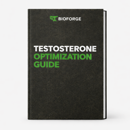 Testosterone E-Book