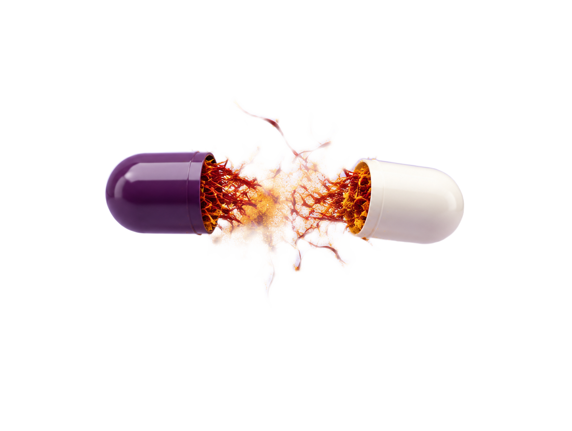 Bio Forge saffron capsule split open with saffron threads and powder
